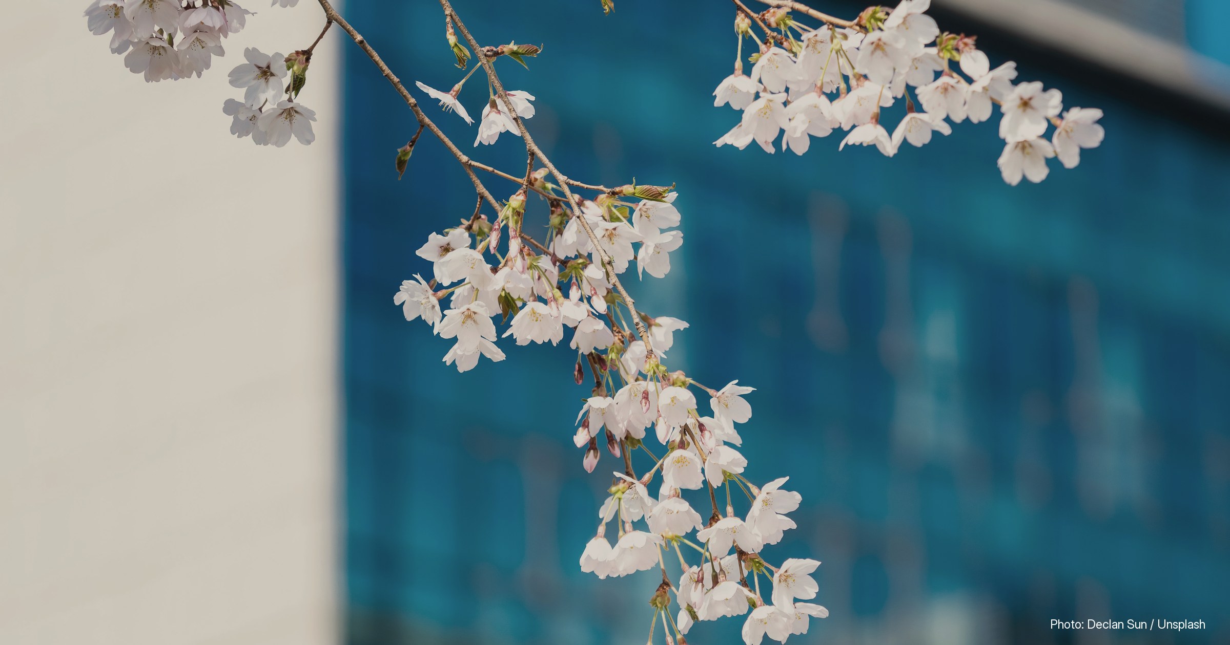 Stock photograph illustrating: BLOOM Stablecoin Initiative Expands as Two More Central Banks Sign On